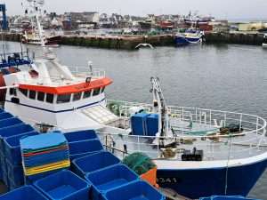 Port de pêche du Guilvinec