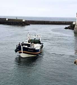 Port de pêche du Guilvinec