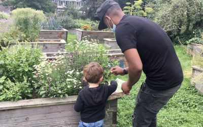 « Terrains communs », la première collection de podcasts Ondes Durables !