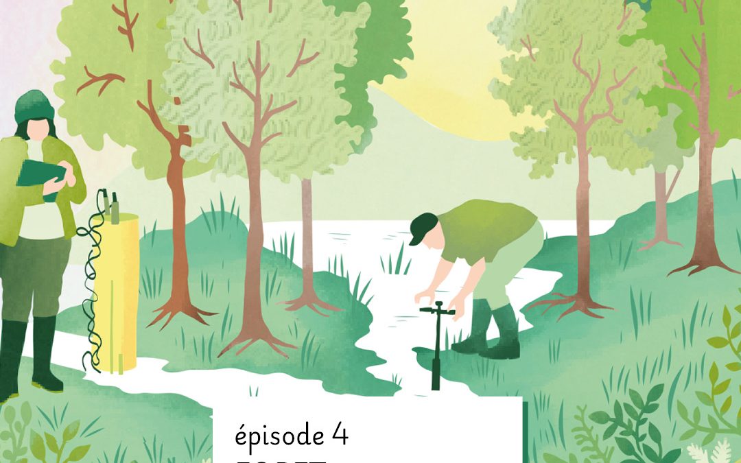 Episode 4 : FORET
