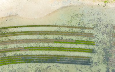 Atlas socioculturel du Bélon par Radio BOA