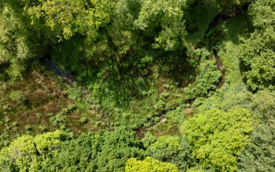 Atlas socioculturel du Lapic par Transistoc’h