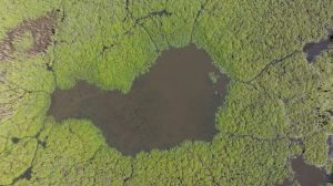 atlas socioculturel des marais de Vilaine vu du ciel