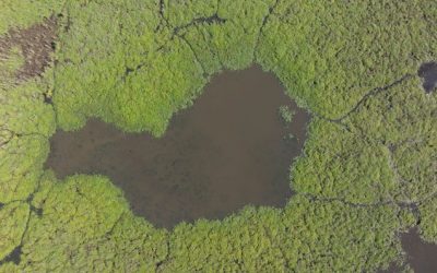 Atlas socioculturel des marais de Vilaine par Plum’FM