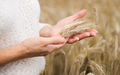 Au cœur du label « Terres de sources » avec un podcast dédié